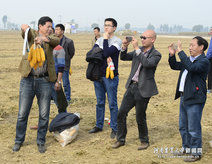 �λ�����׷�������Ʒ�֡�ԥ��9953����Ӱ