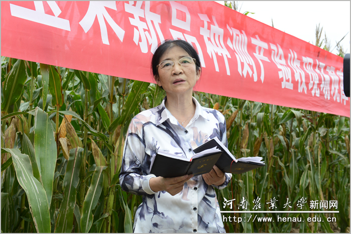 测产专家组组长、河南省农业技术推广站郑义研究员宣布测产结果 测产专家组组长、河南省农业技术推广站郑义研究员宣布测产结果