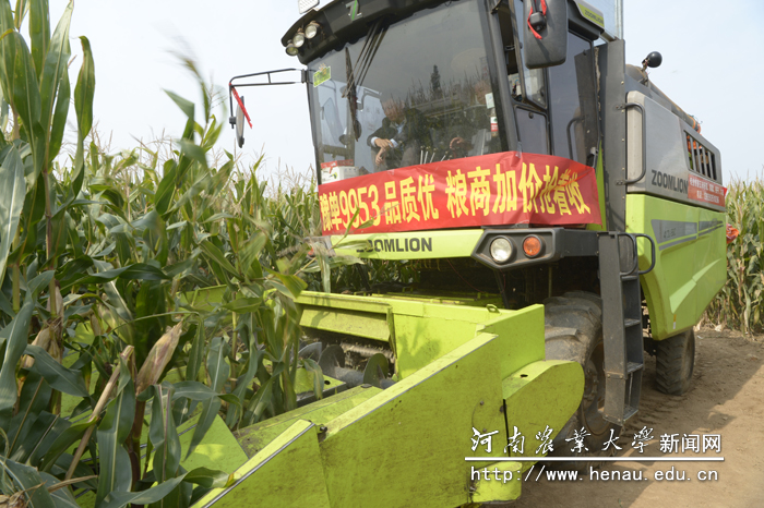 ���������ո�����